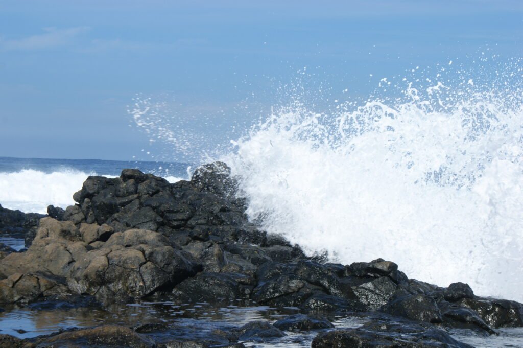 Sony dsc