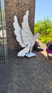 Duif onderweg peacewalk