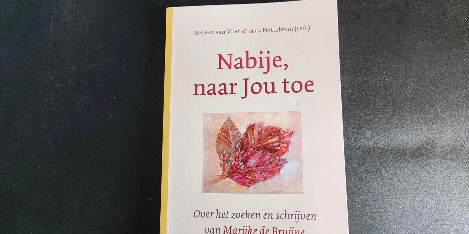Boek Marijke de Bruijne